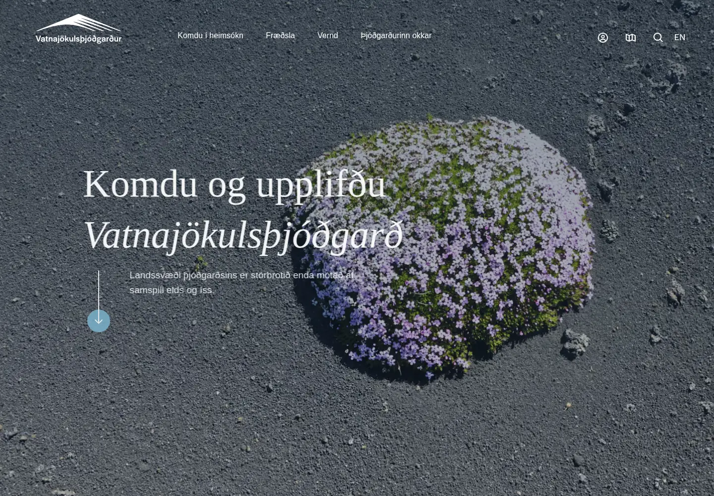 Captured homepage of vatnajokulsthjodgardur.is in the current scan