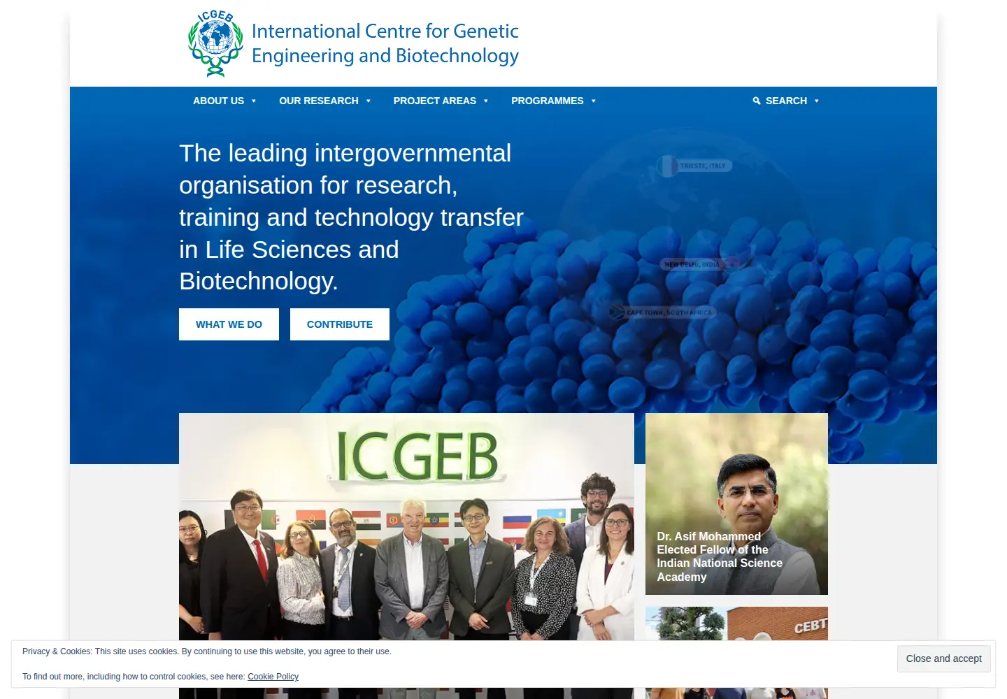 Screenshot of icgeb.org