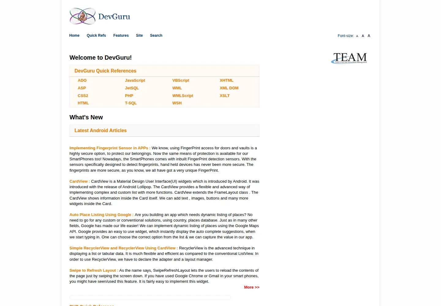 Captured homepage of devguru.com in the current scan
