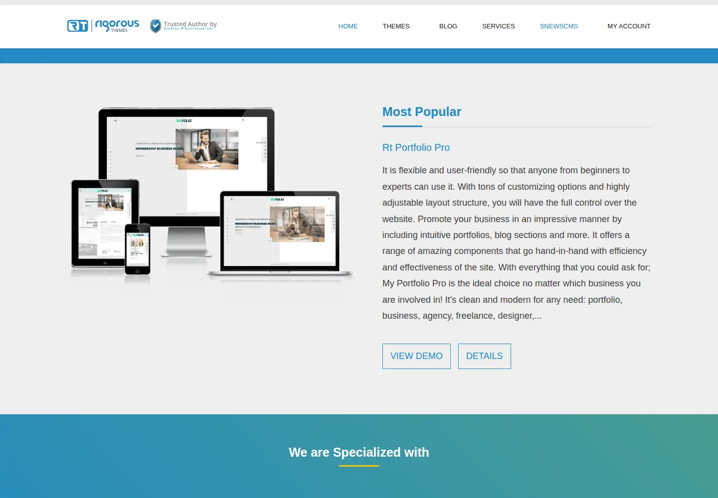Screenshot of rigorousthemes.com