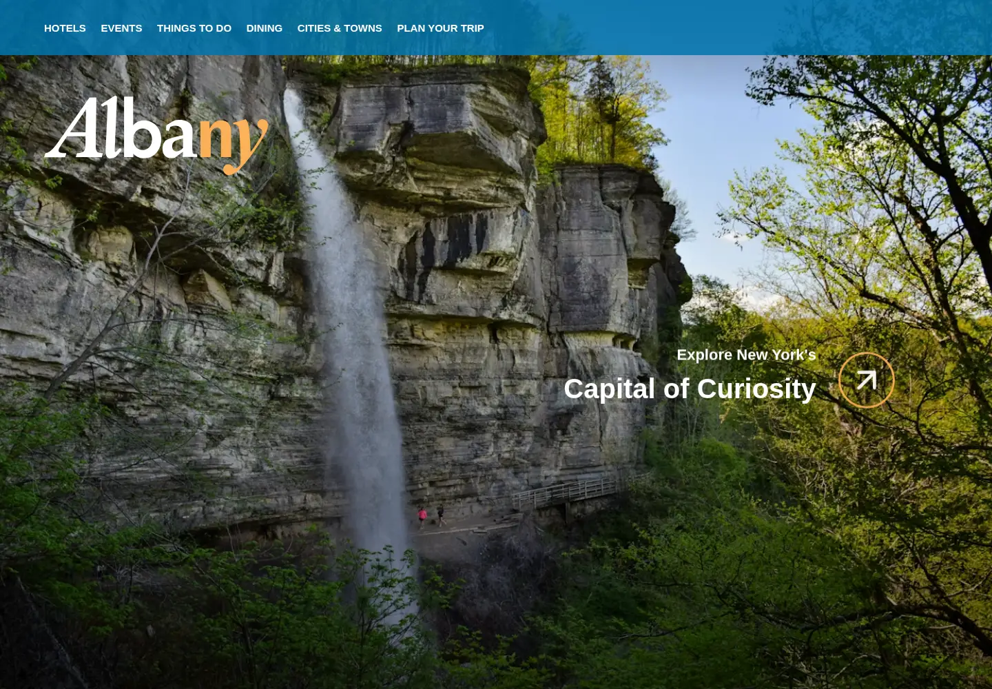 Screenshot of albany.org