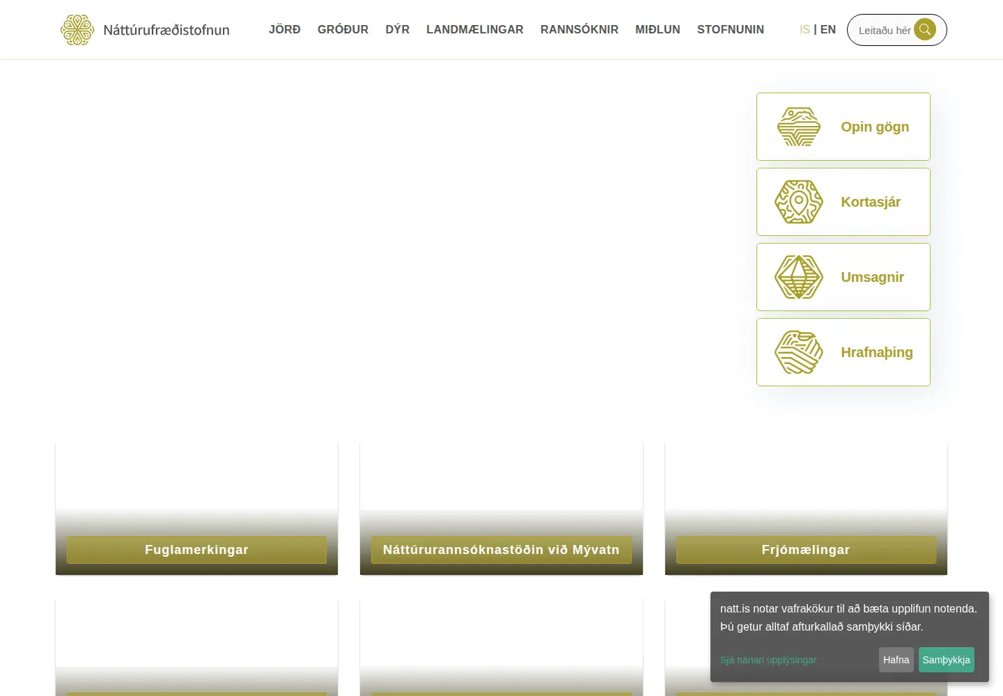 Screenshot of lmi.is