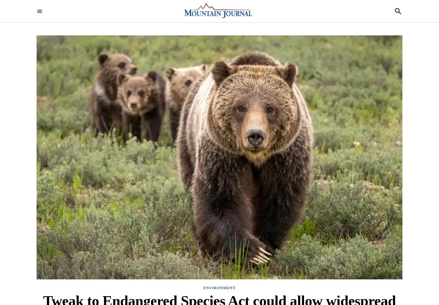 Screenshot of mountainjournal.org