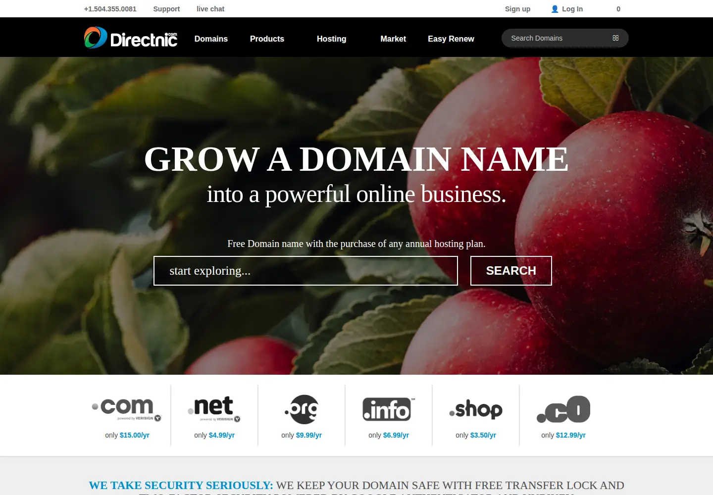 Captured homepage of directnic.com in the current scan