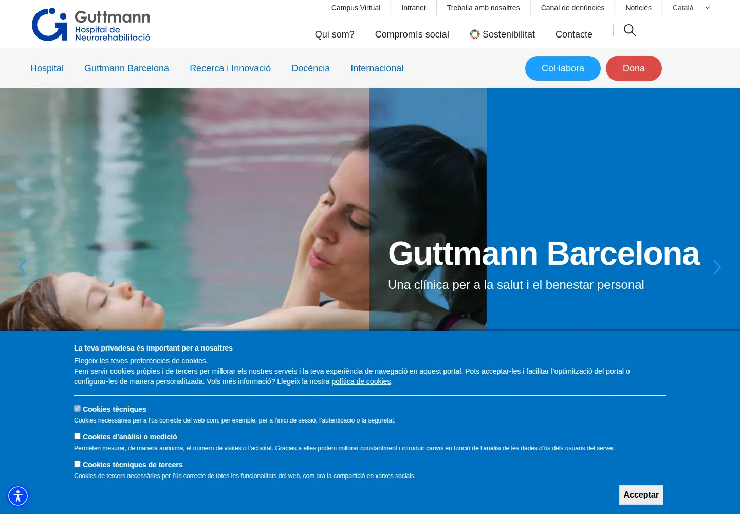 Captured homepage of guttmann.com in the current scan
