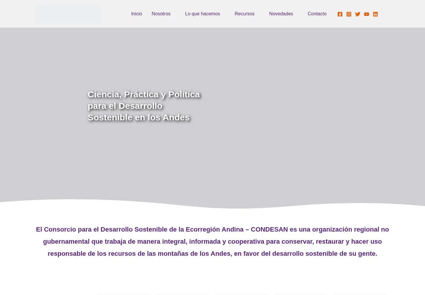 Screenshot of condesan.org