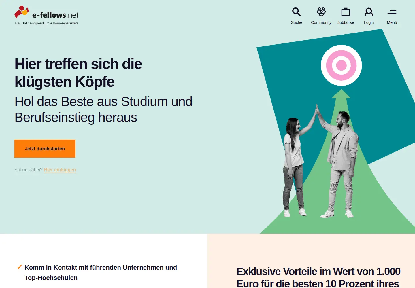 Screenshot of e-fellows.net