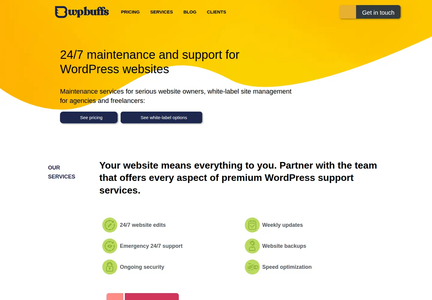 Screenshot of wpbuffs.com