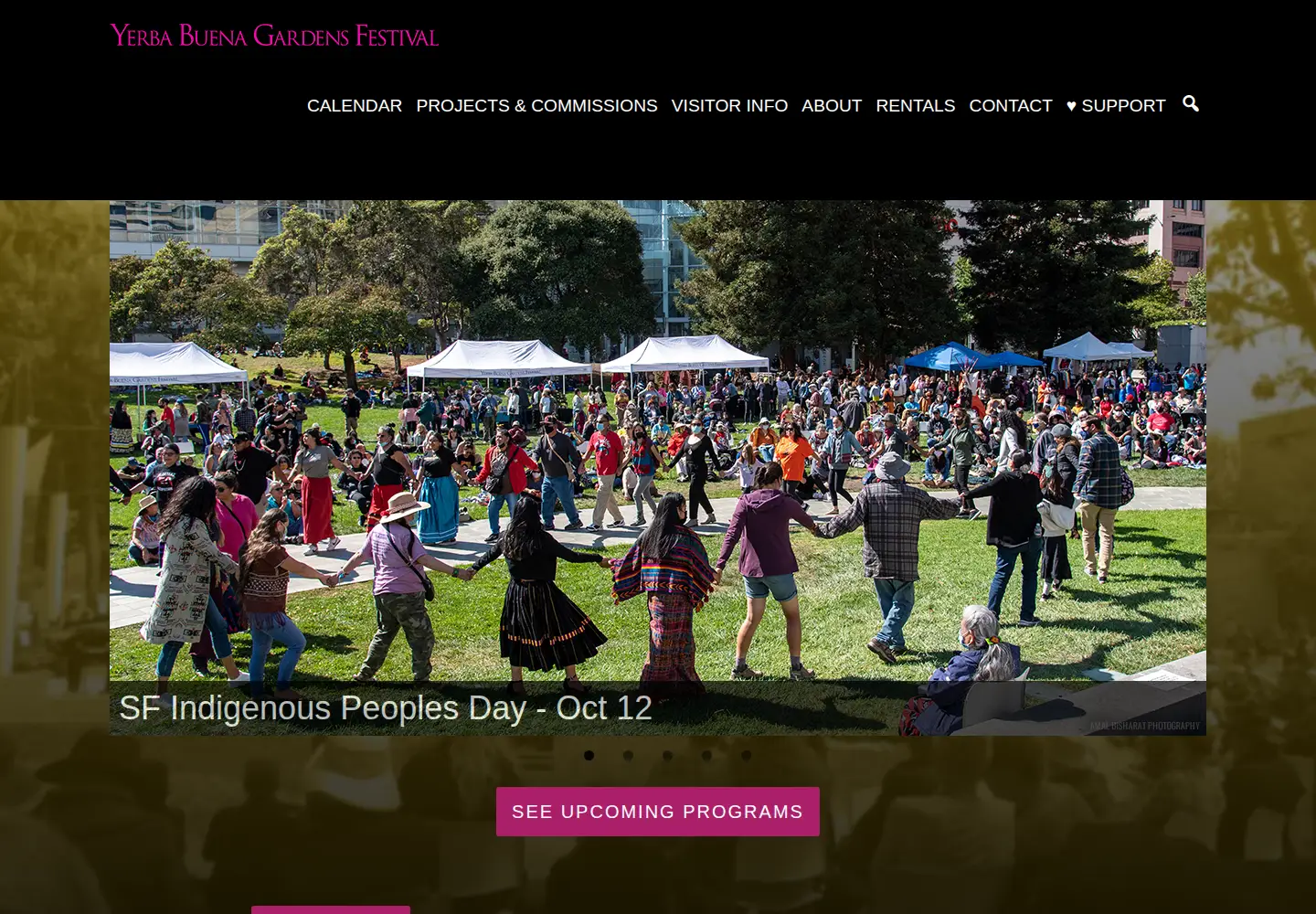Screenshot of ybgfestival.org