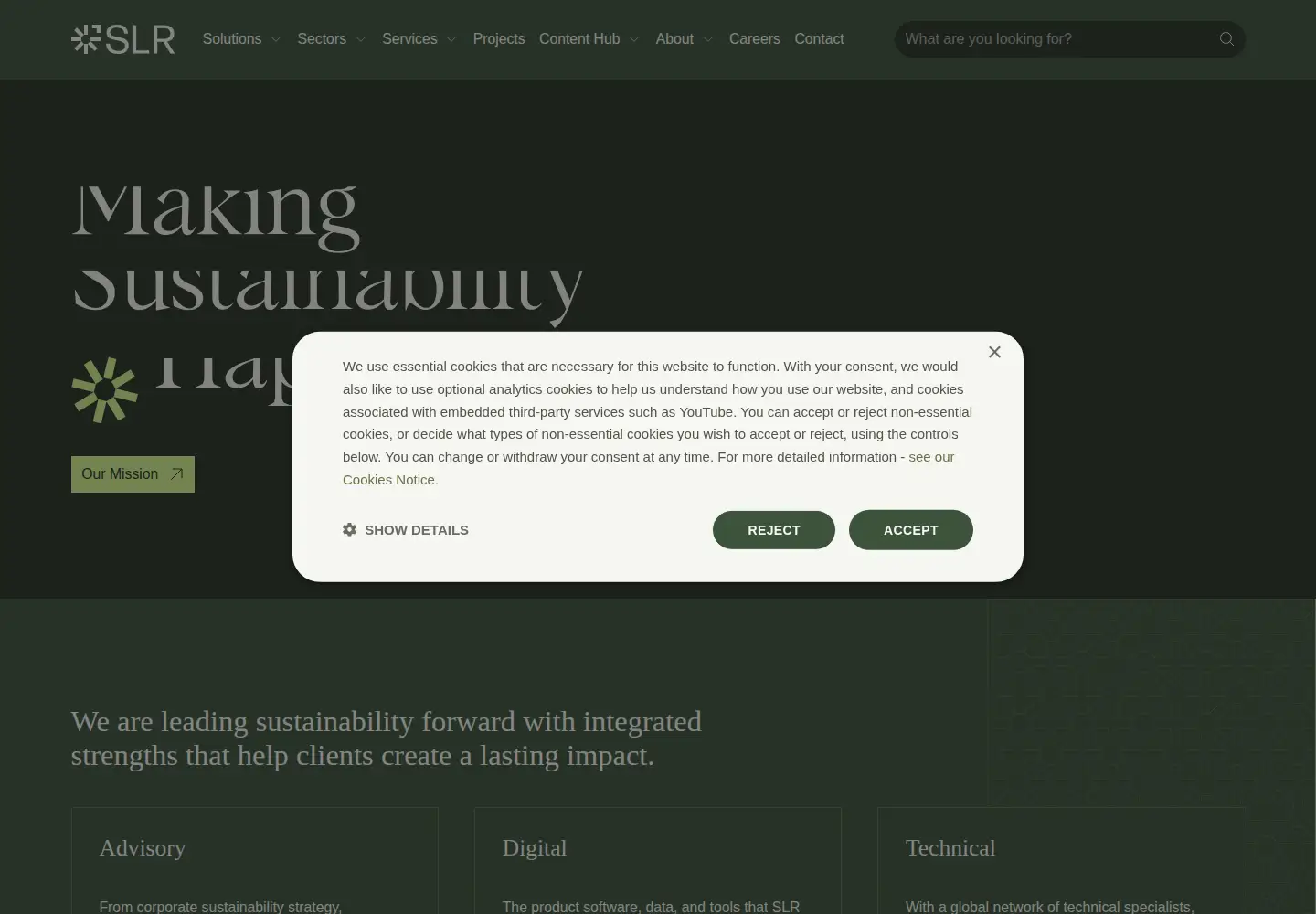 Captured homepage of slrconsulting.com in the current scan