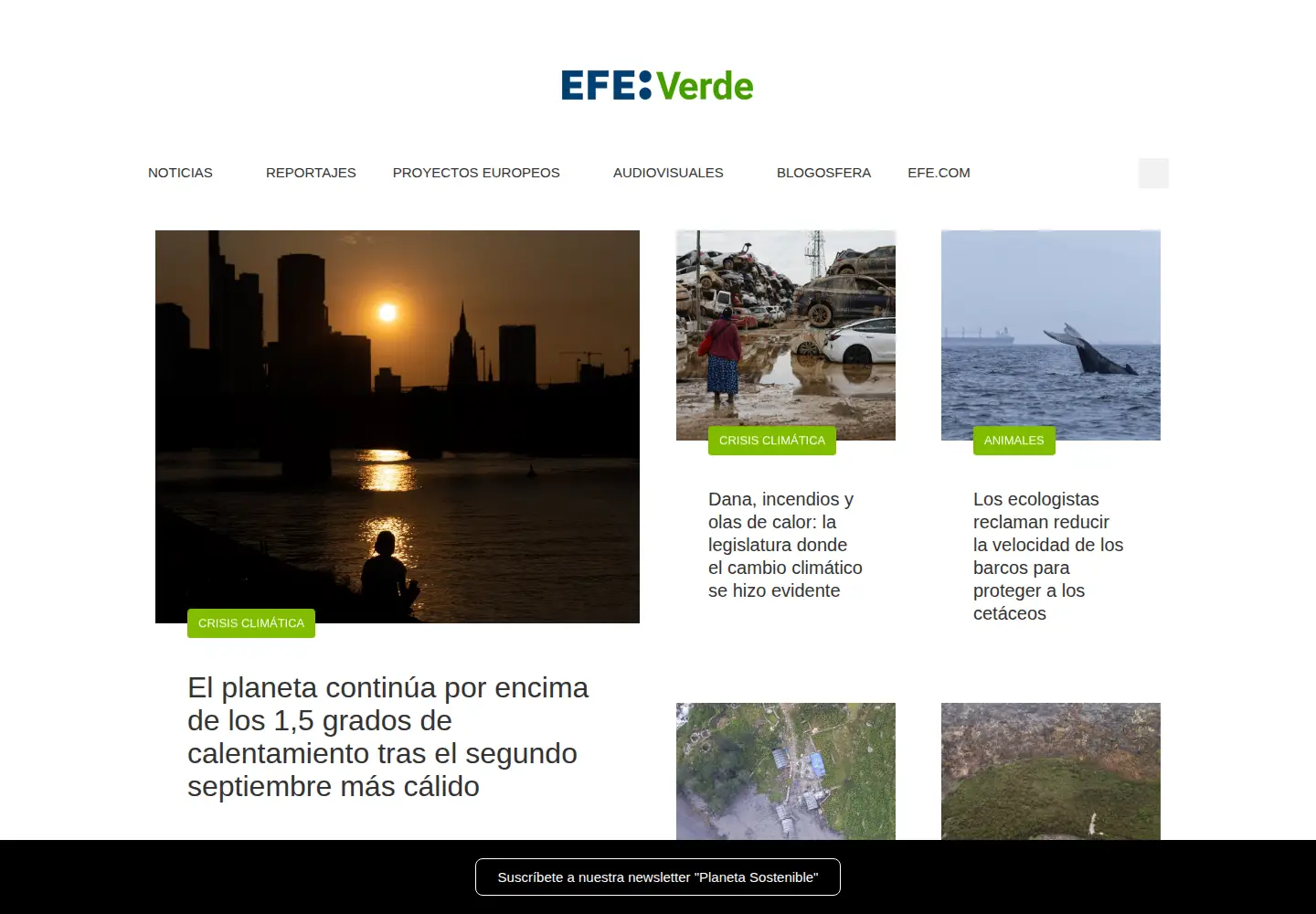 Screenshot of efeverde.com