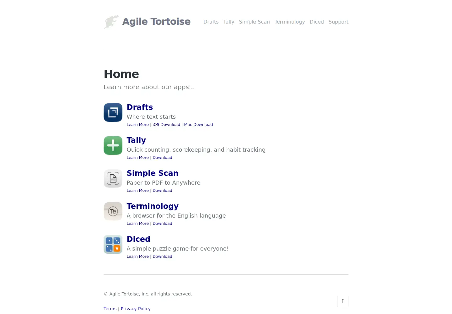 Captured homepage of agiletortoise.com in the current scan