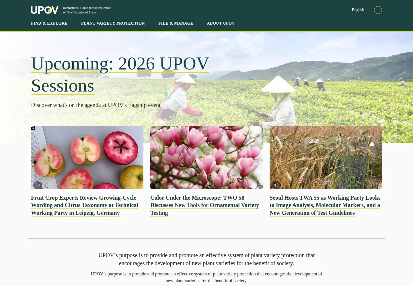 Screenshot of upov.int