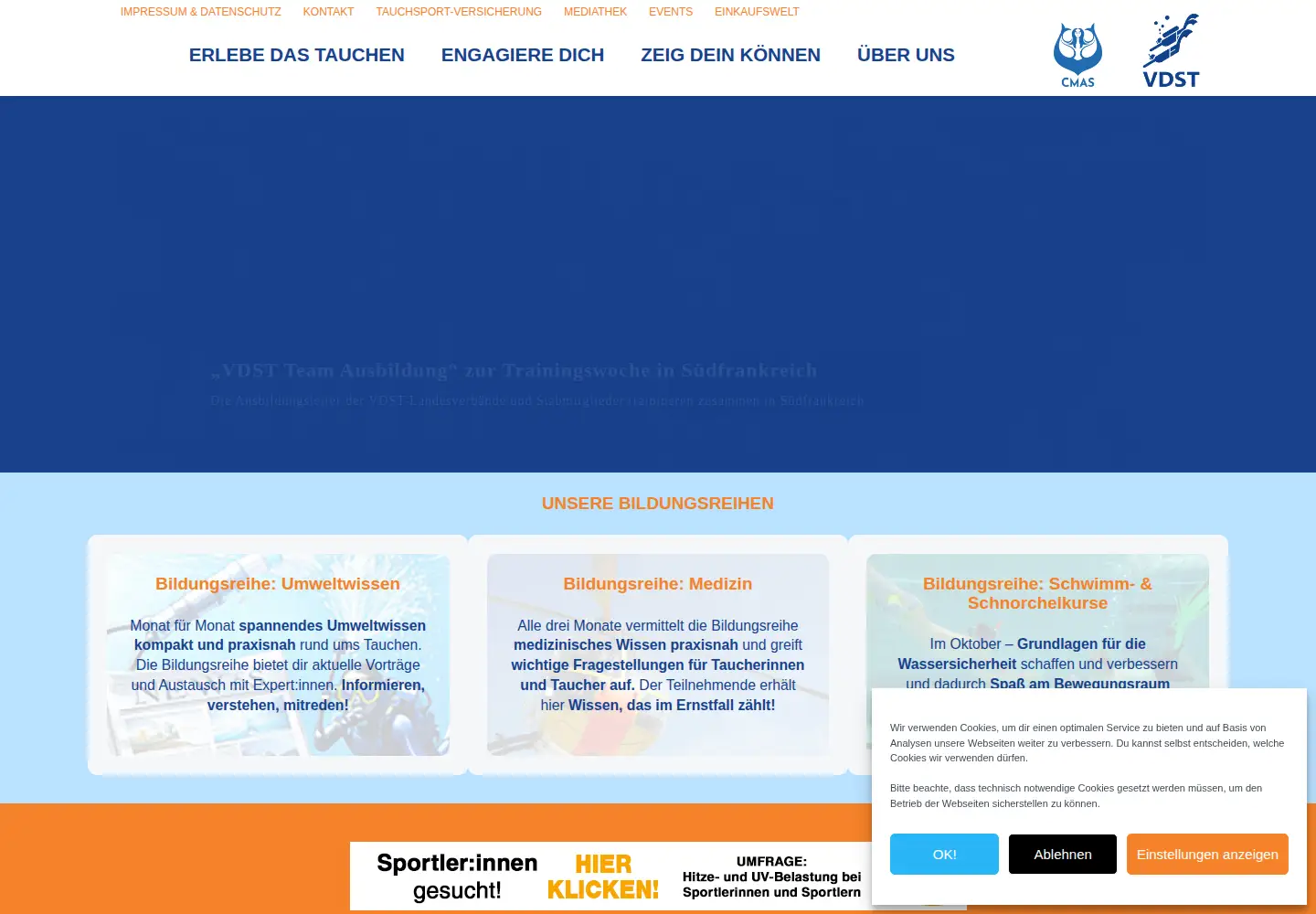 Captured homepage of vdst.de in the current scan