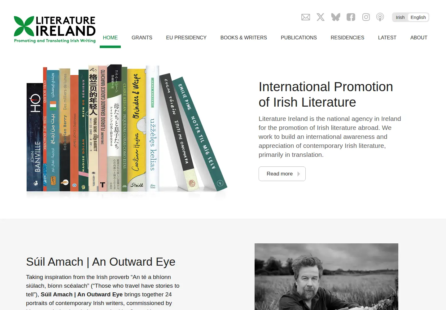 Screenshot of literatureireland.com