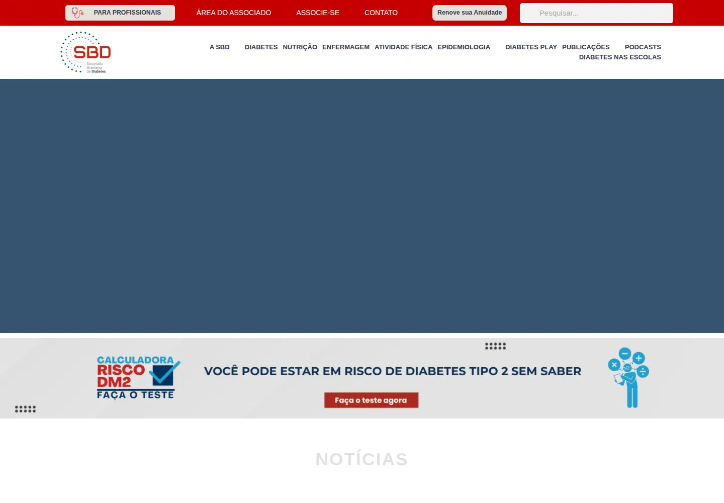 Captured homepage of diabetes.org.br in the current scan