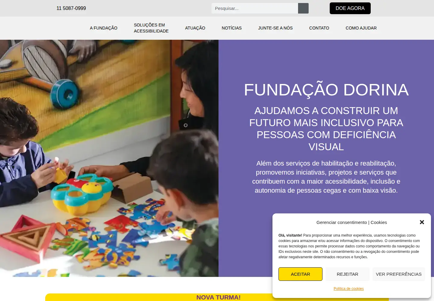 Captured homepage of fundacaodorina.org.br in the current scan
