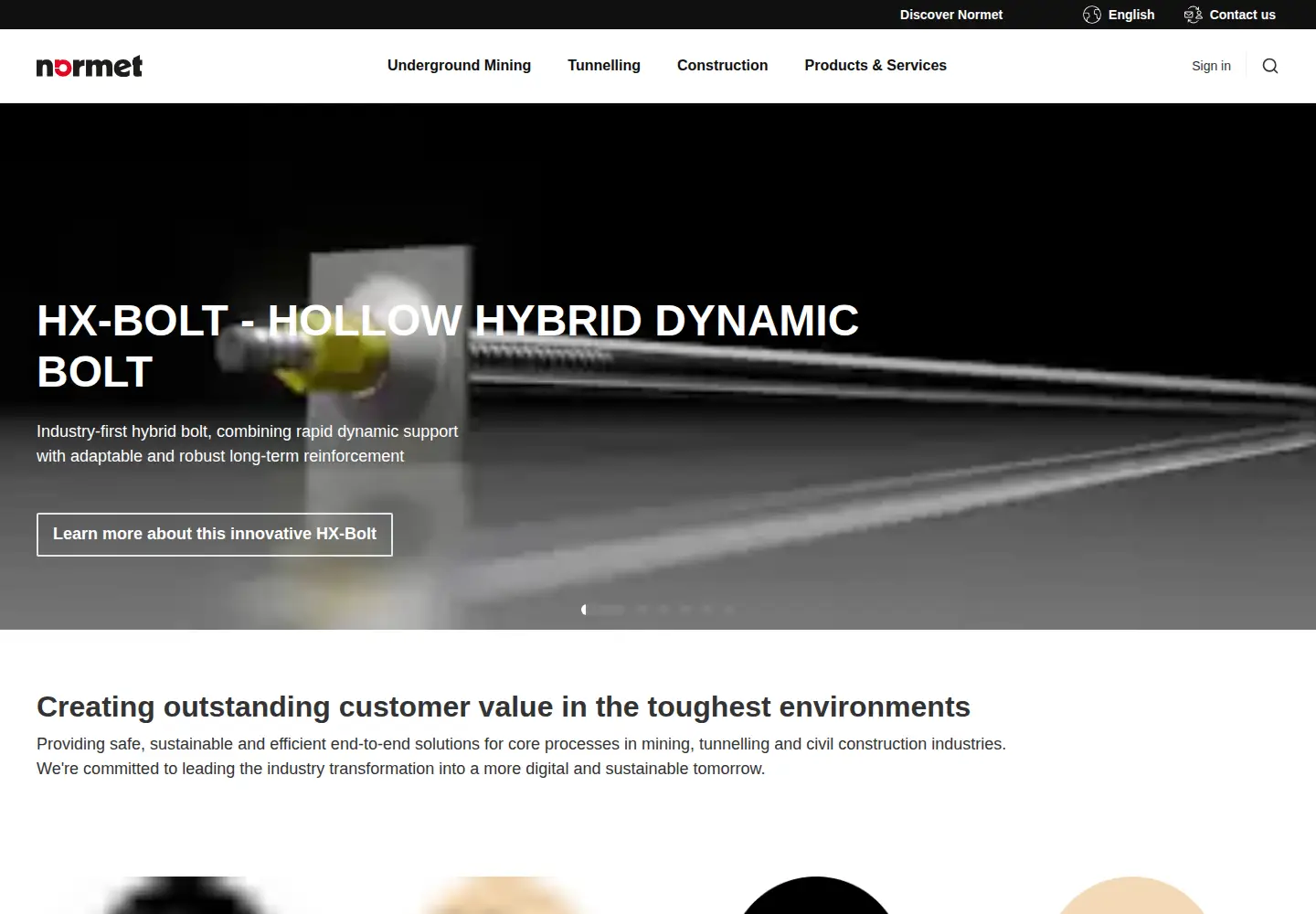 Captured homepage of normet.com in the current scan