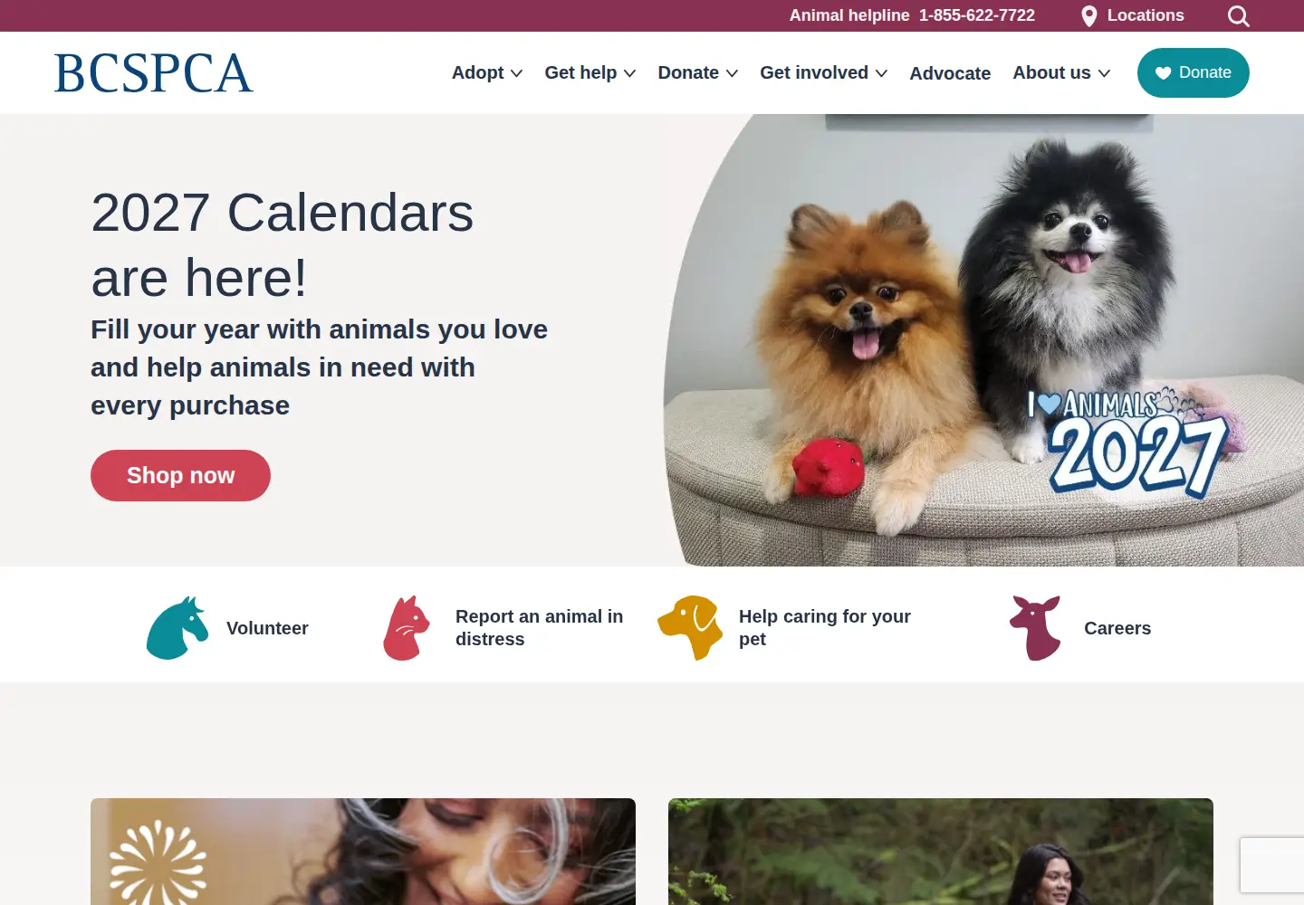 Captured homepage of spca.bc.ca in the current scan