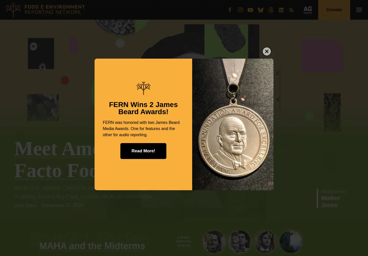 Screenshot of thefern.org