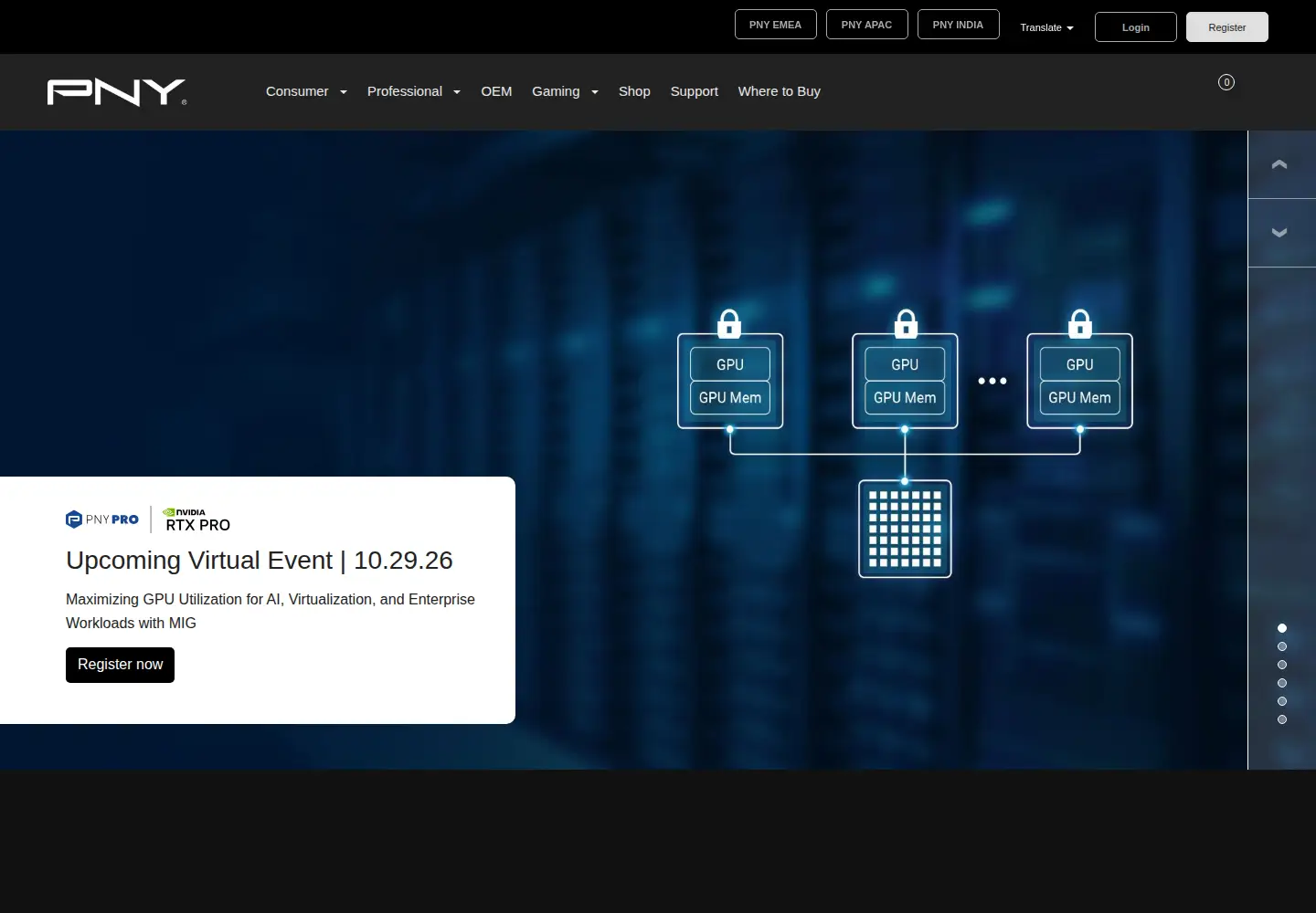 Captured homepage of pny.com in the current scan