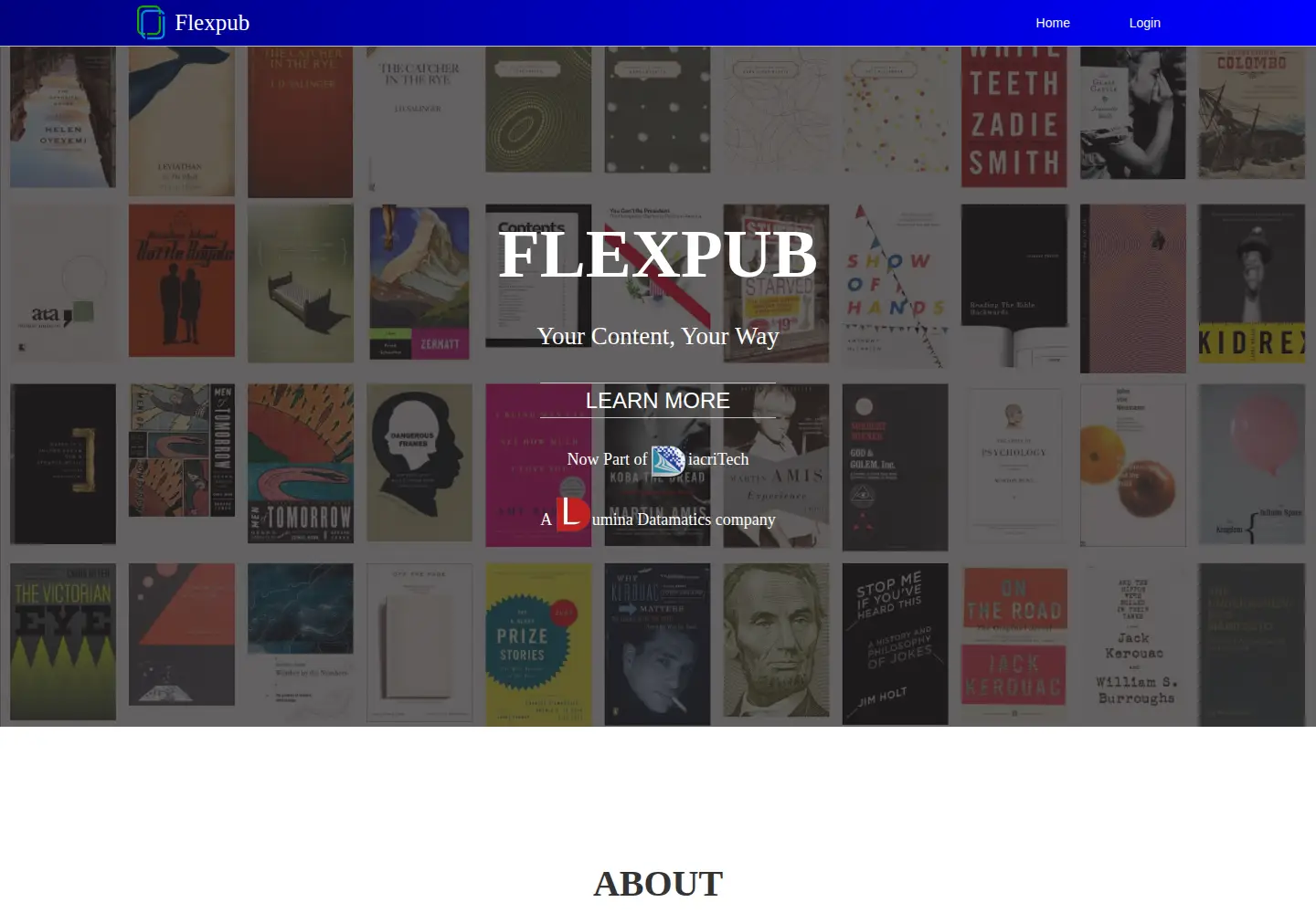 Captured homepage of flexpub.com in the current scan