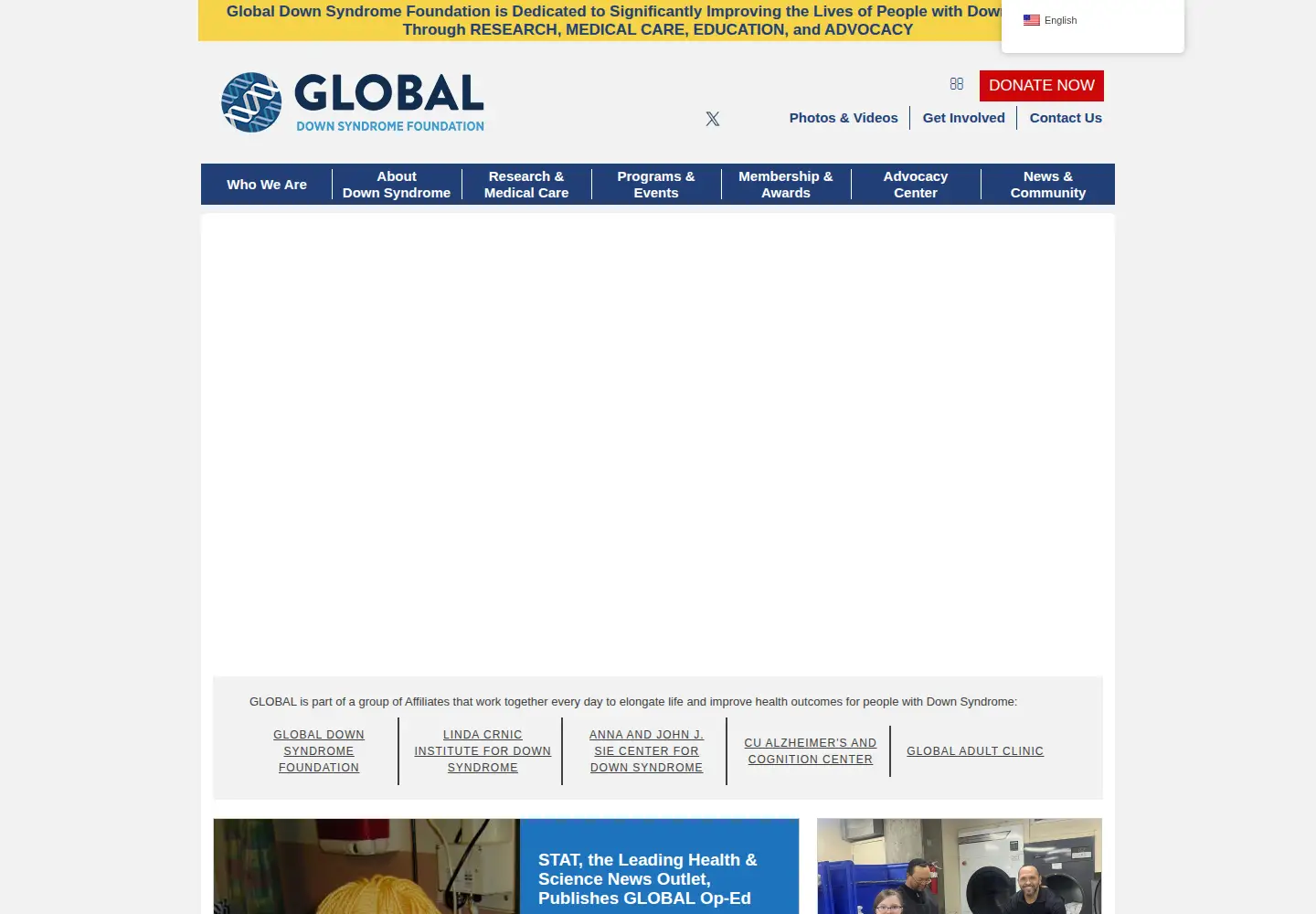 Screenshot of globaldownsyndrome.org