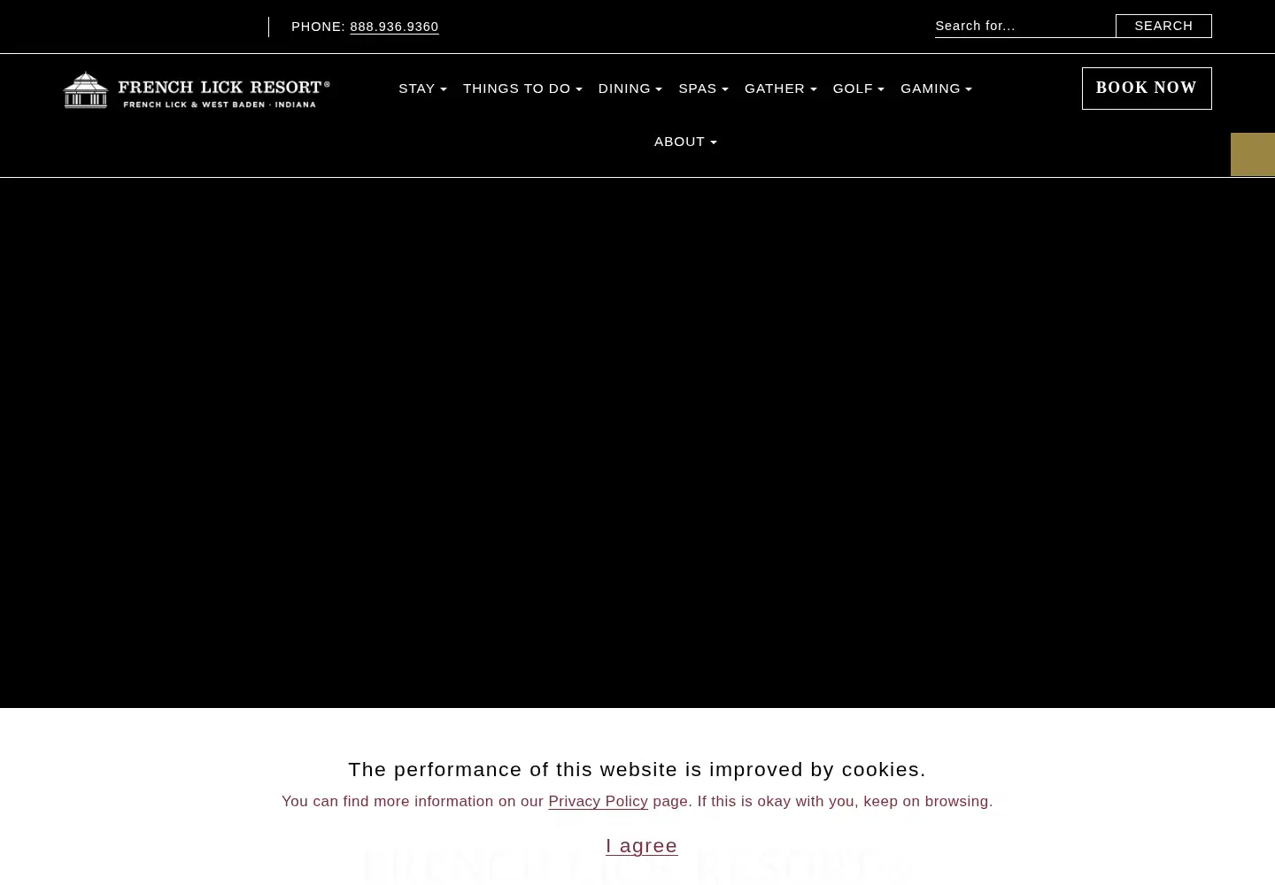 Captured homepage of frenchlick.com in the current scan