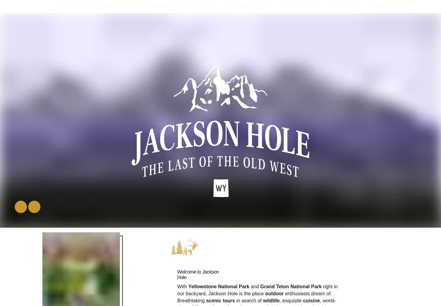 Screenshot of jacksonholechamber.com