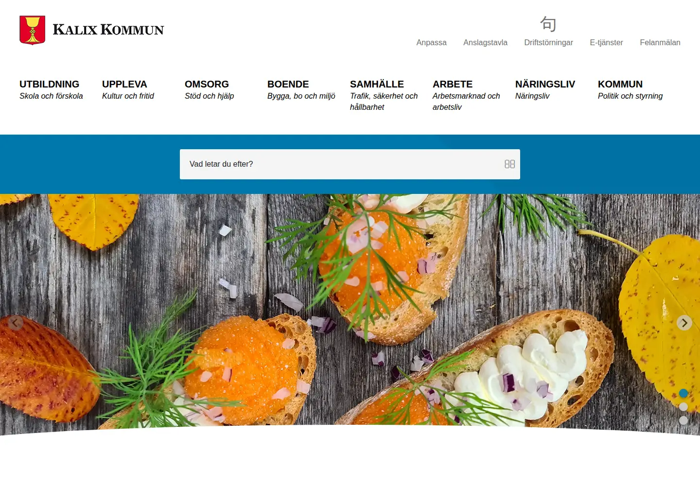 Captured homepage of kalix.se in the current scan
