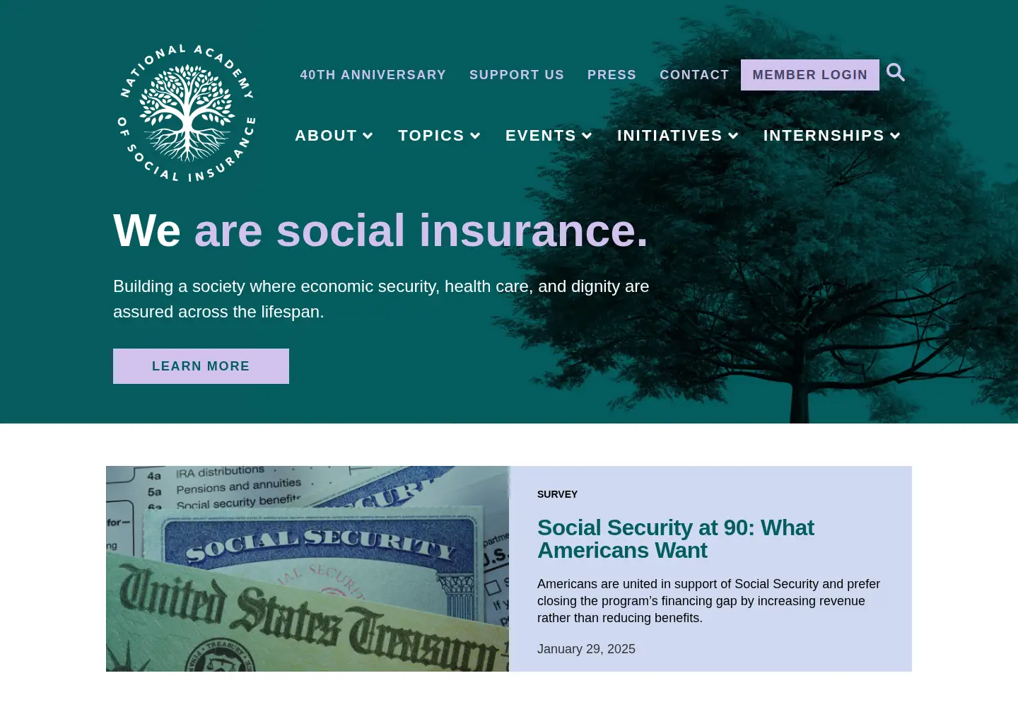 Screenshot of nasi.org