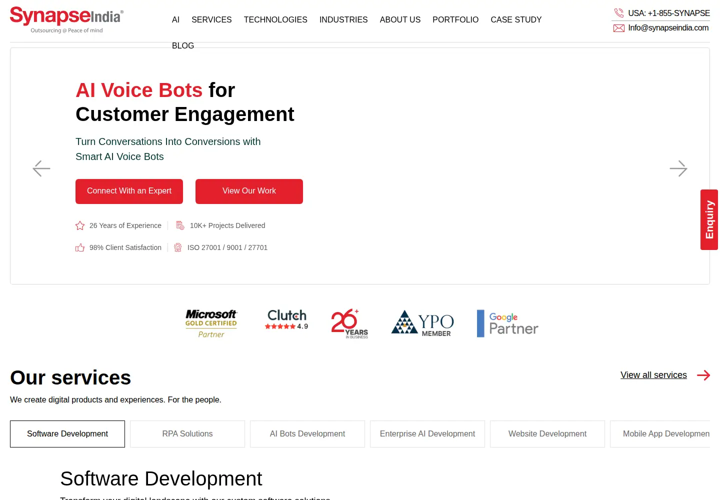 Screenshot of synapseindia.com