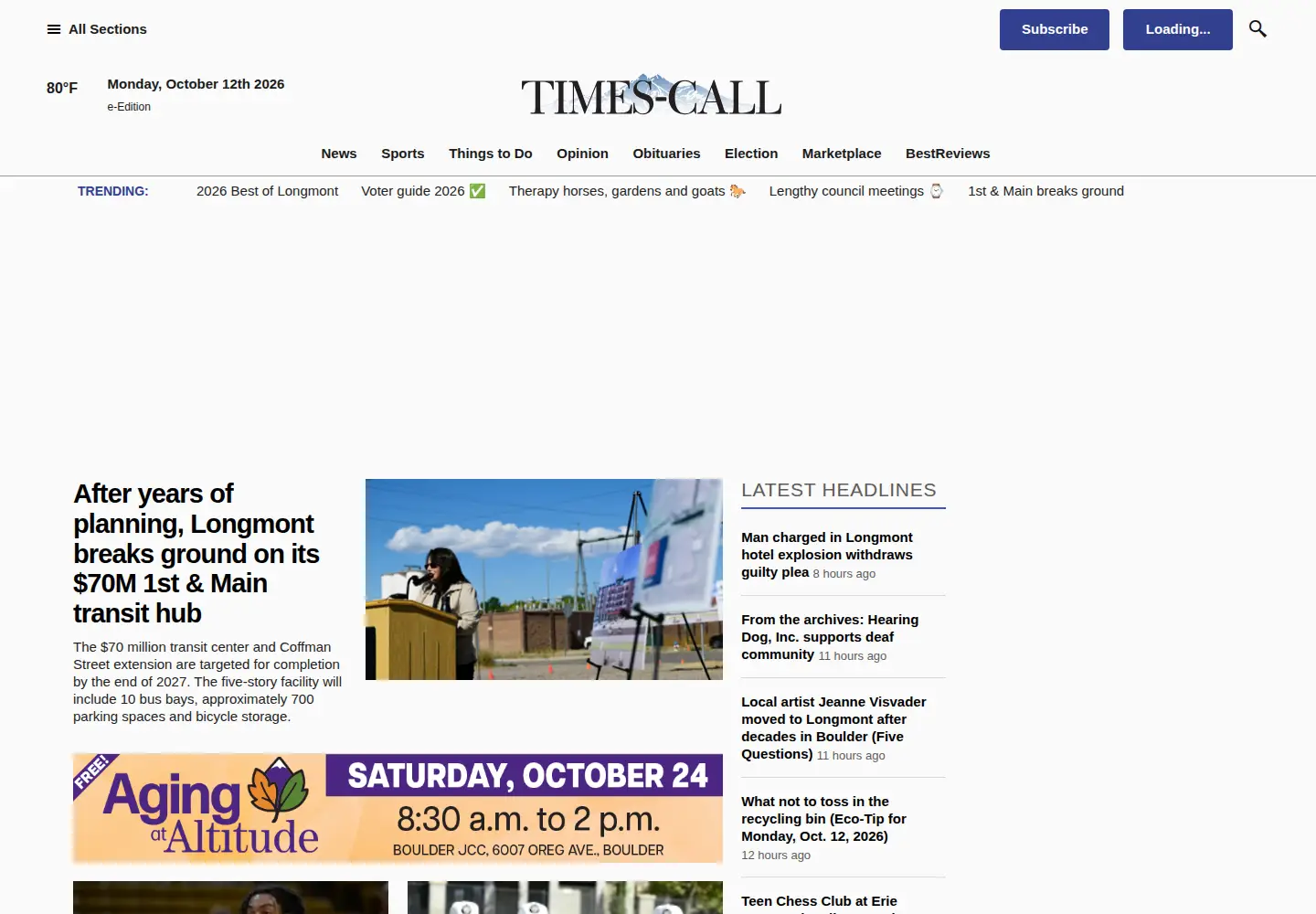 Captured homepage of timescall.com in the current scan