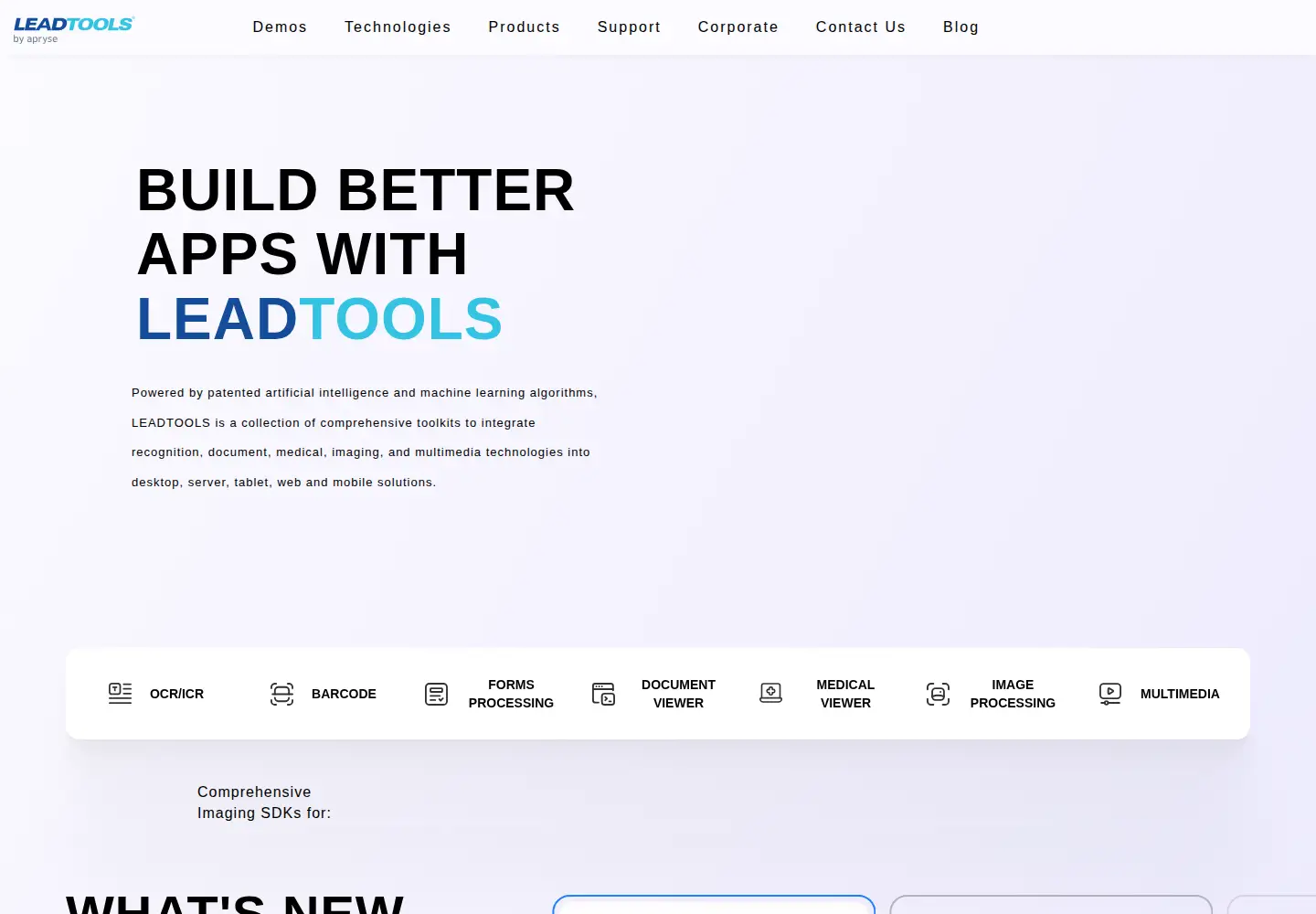 Captured homepage of leadtools.com in the current scan