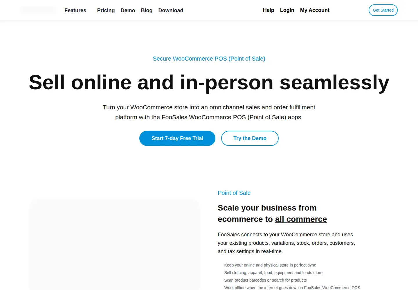 Captured homepage of foosales.com in the current scan