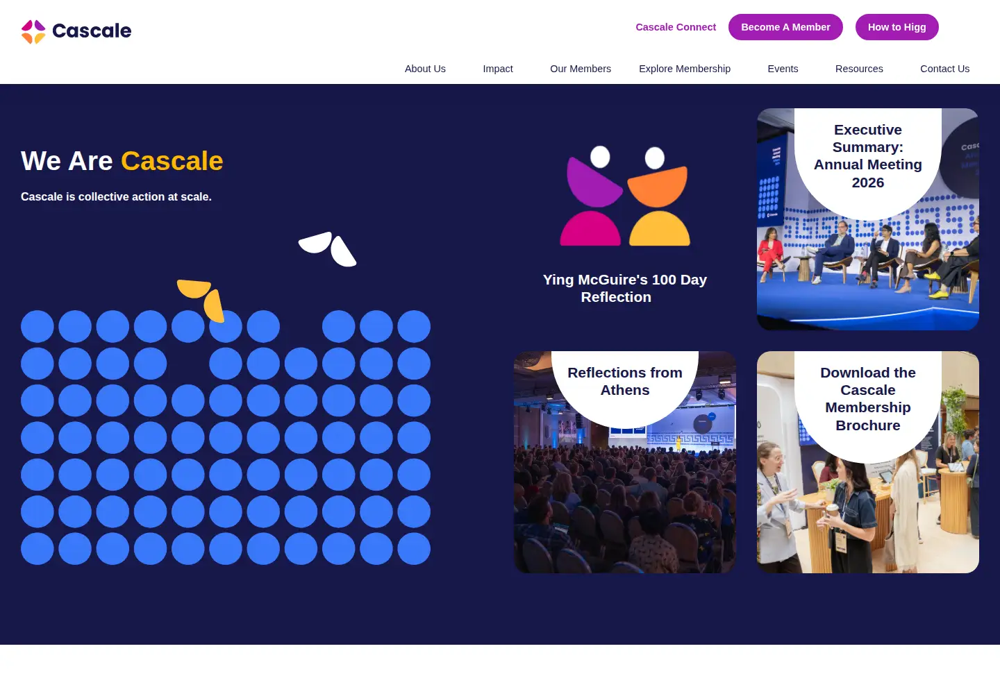 Screenshot of apparelcoalition.org