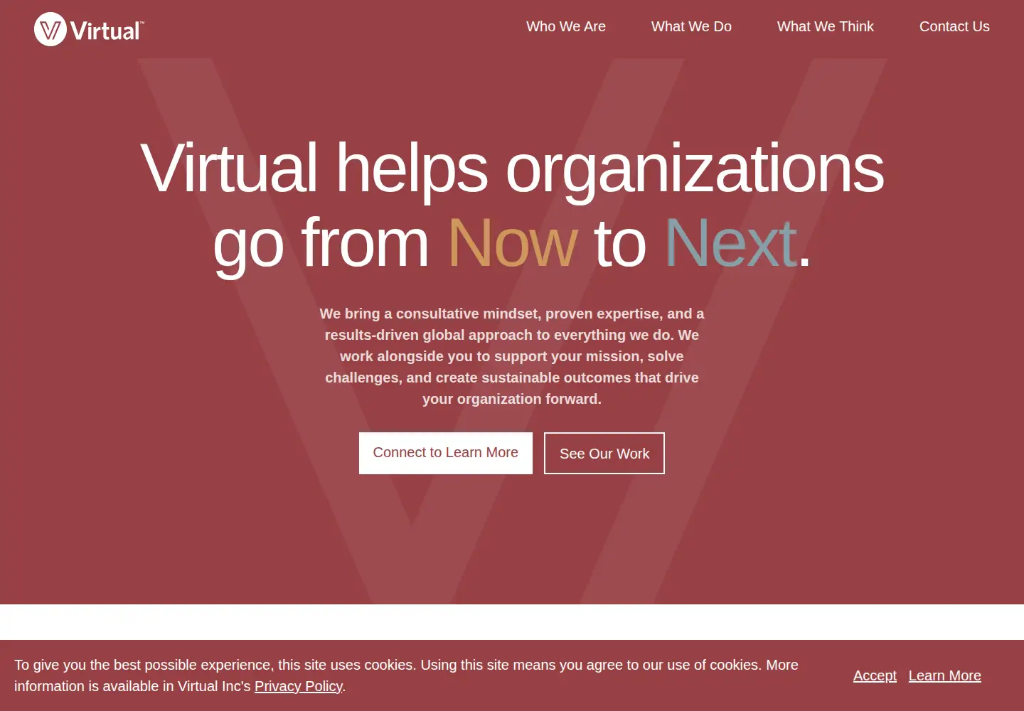 Captured homepage of virtualinc.com in the current scan