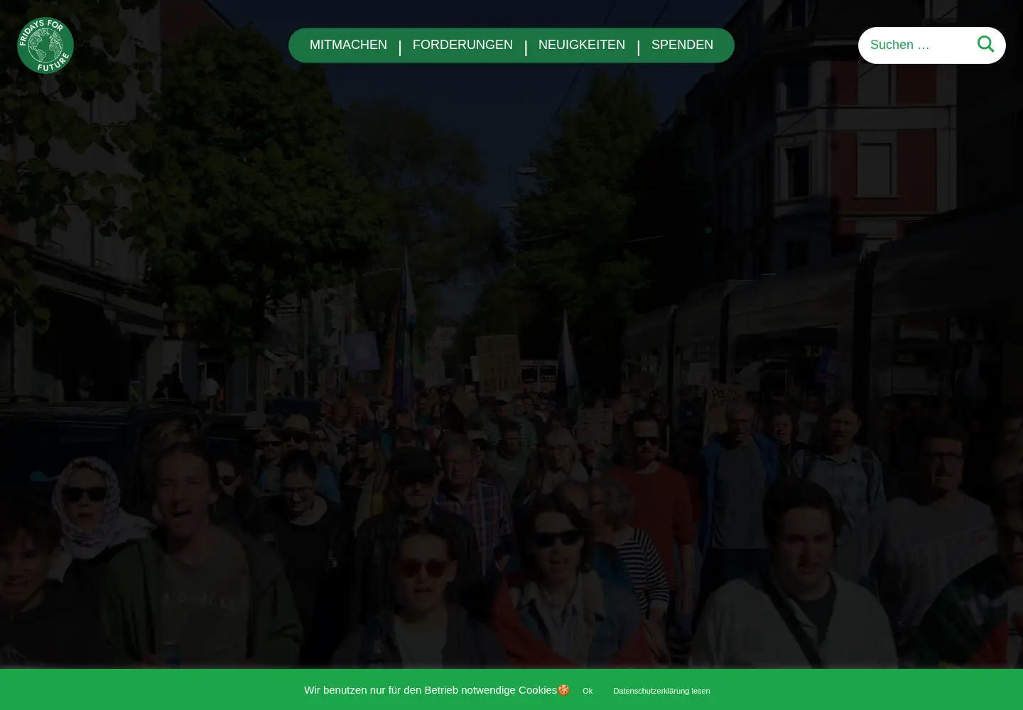 Screenshot of fridaysforfuture.de