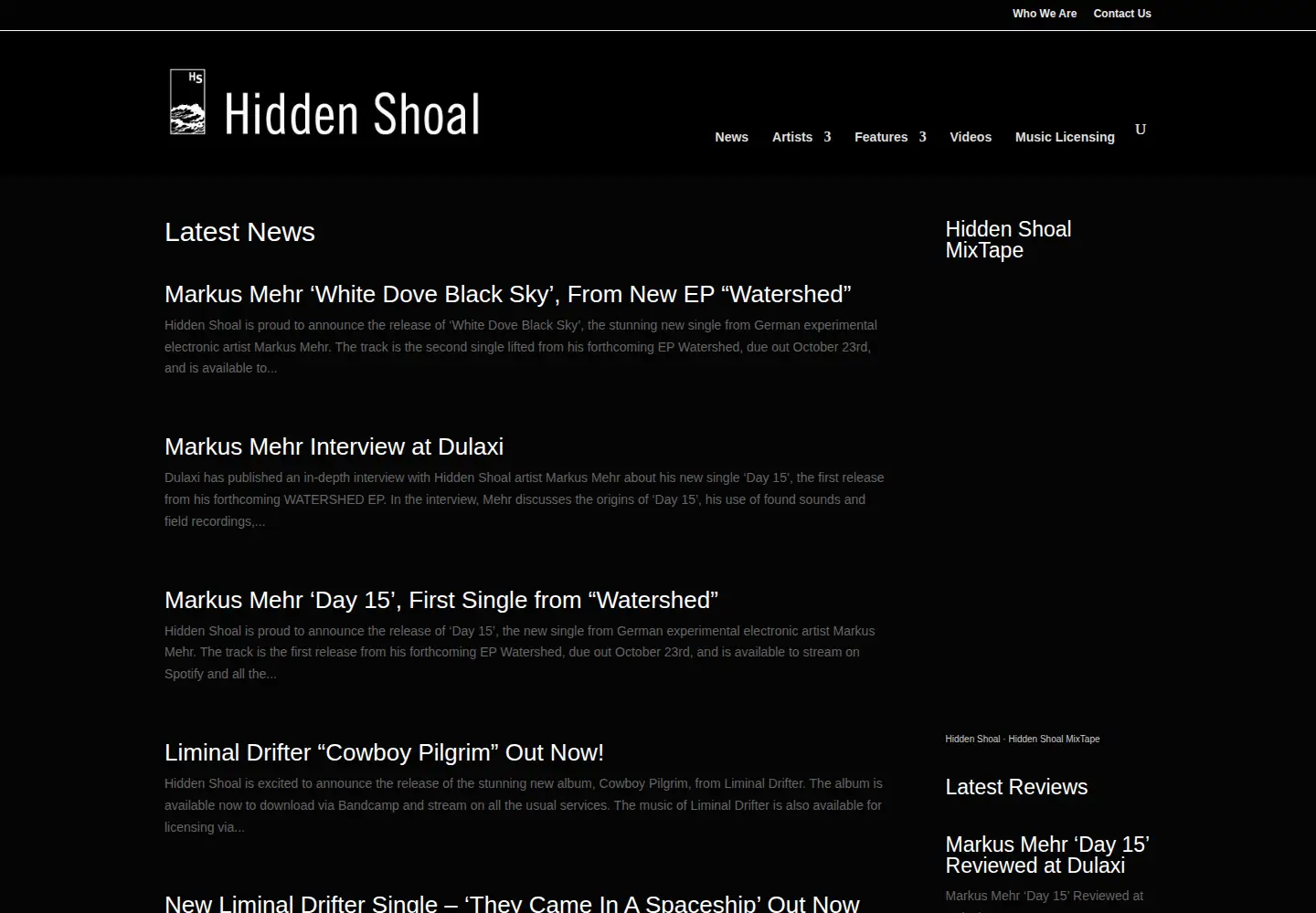 Captured homepage of hiddenshoal.com in the current scan