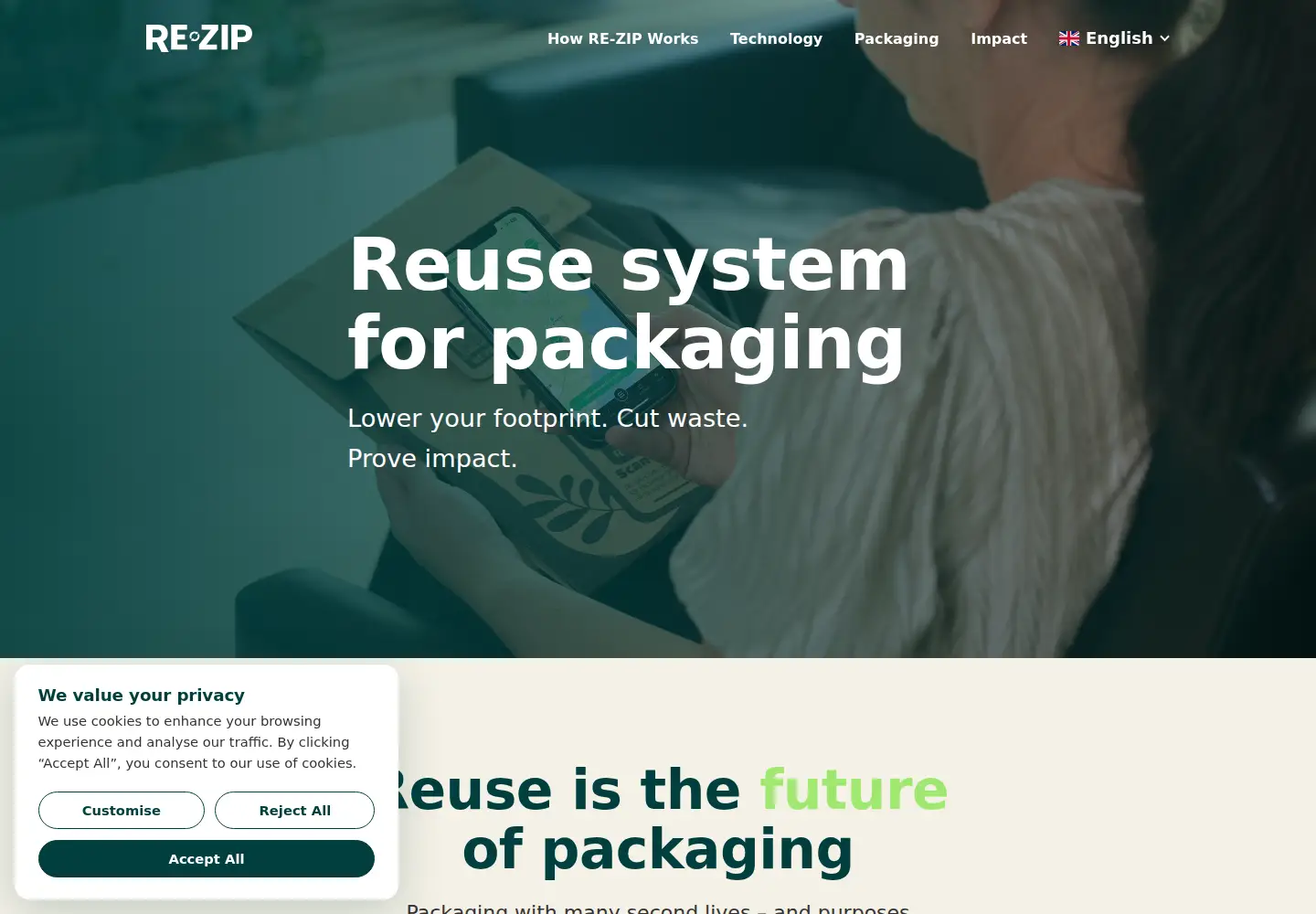 Captured homepage of re-zip.com in the current scan