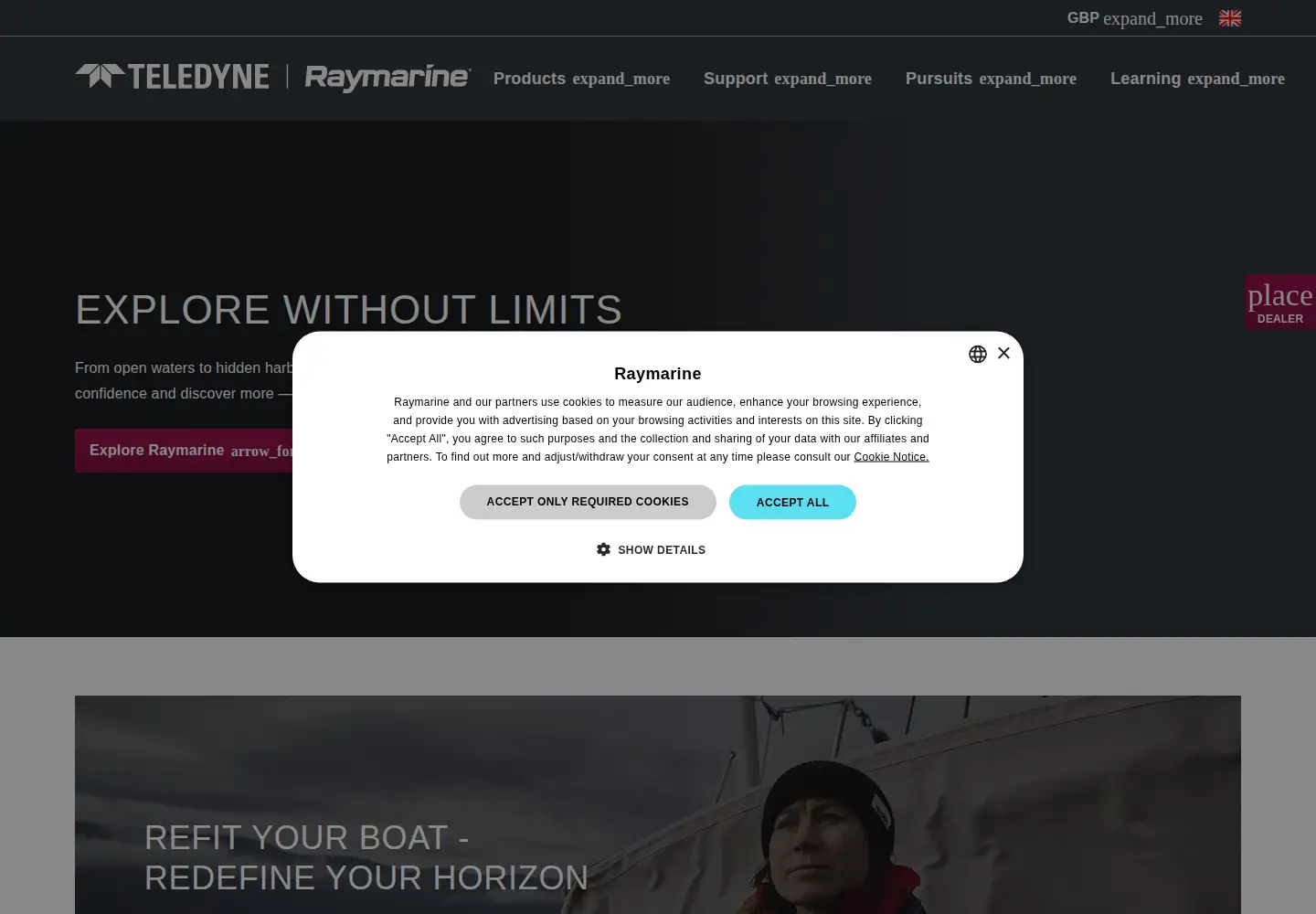 Captured homepage of raymarine.com in the current scan