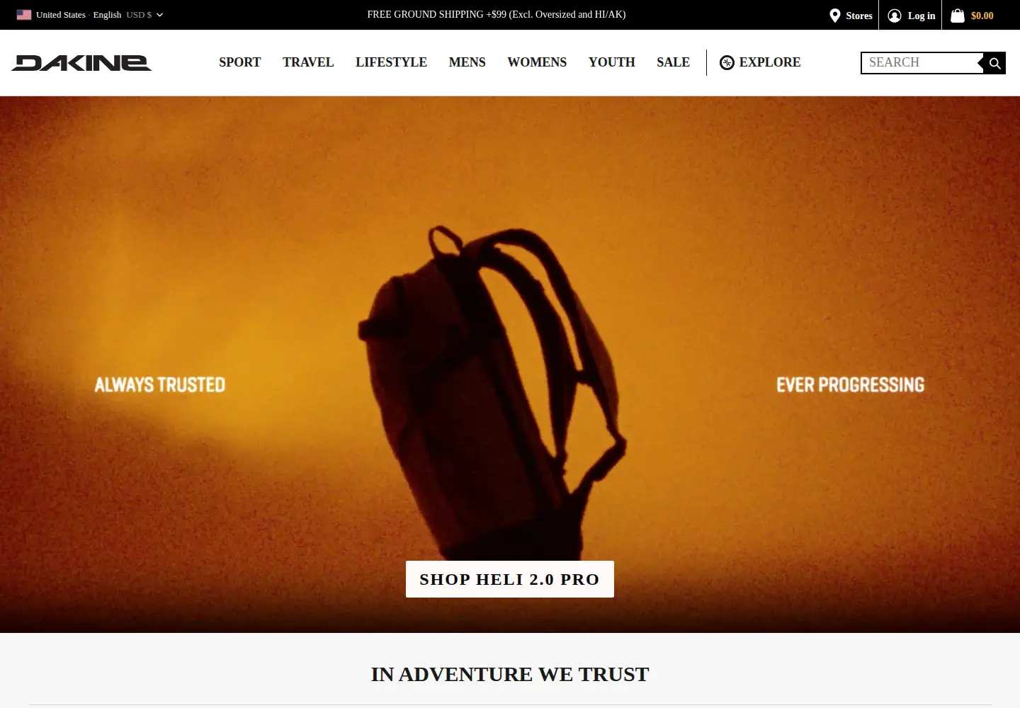 Captured homepage of dakine.com in the current scan