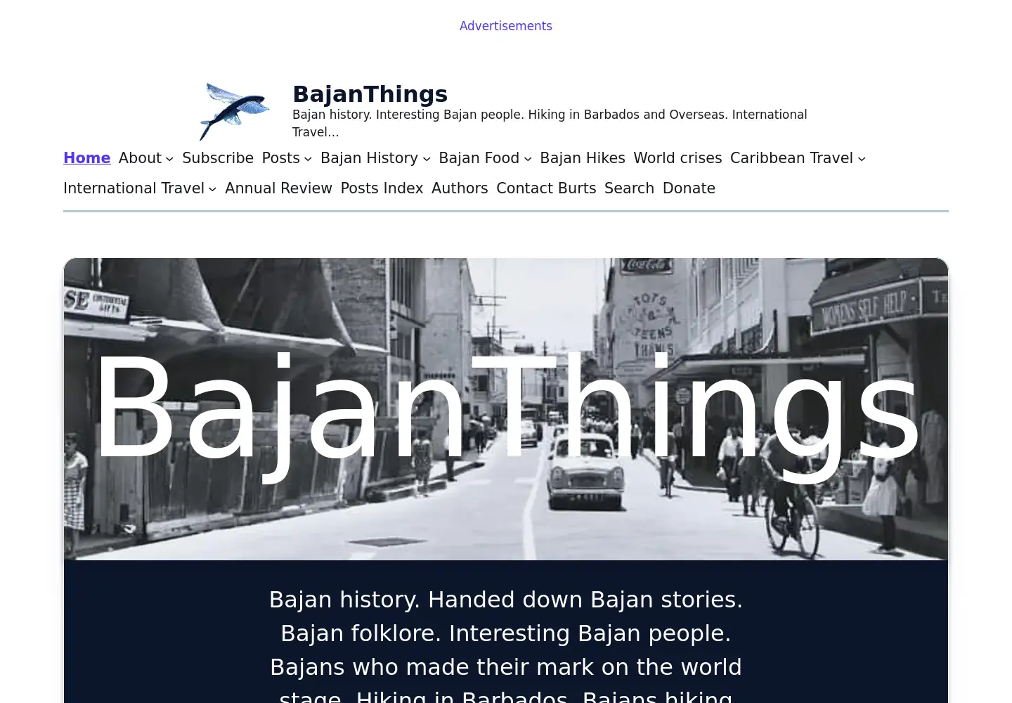 Captured homepage of bajanthings.com in the current scan