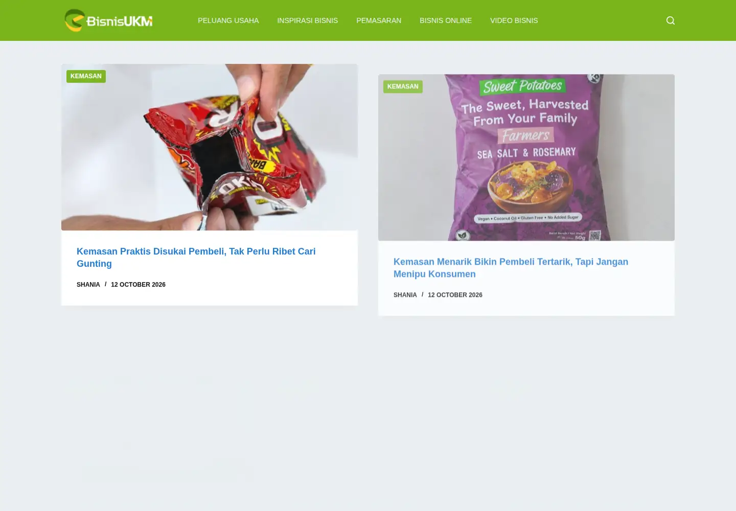 Captured homepage of bisnisukm.com in the current scan