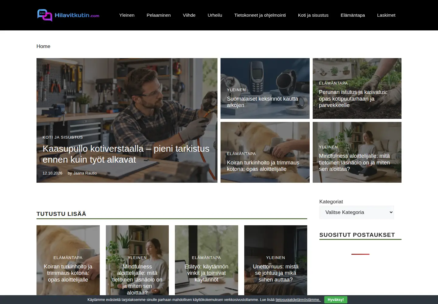 Screenshot of hilavitkutin.com