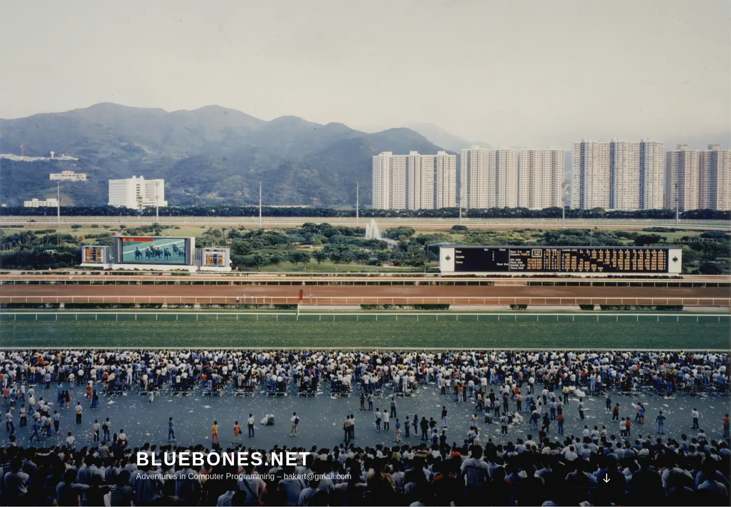 Screenshot of bluebones.net