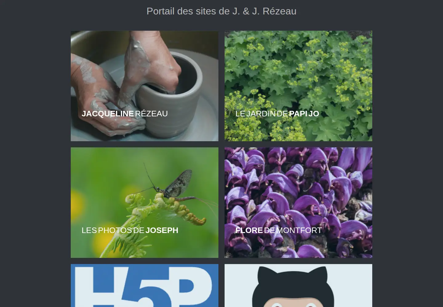 Captured homepage of rezeau.org in the current scan