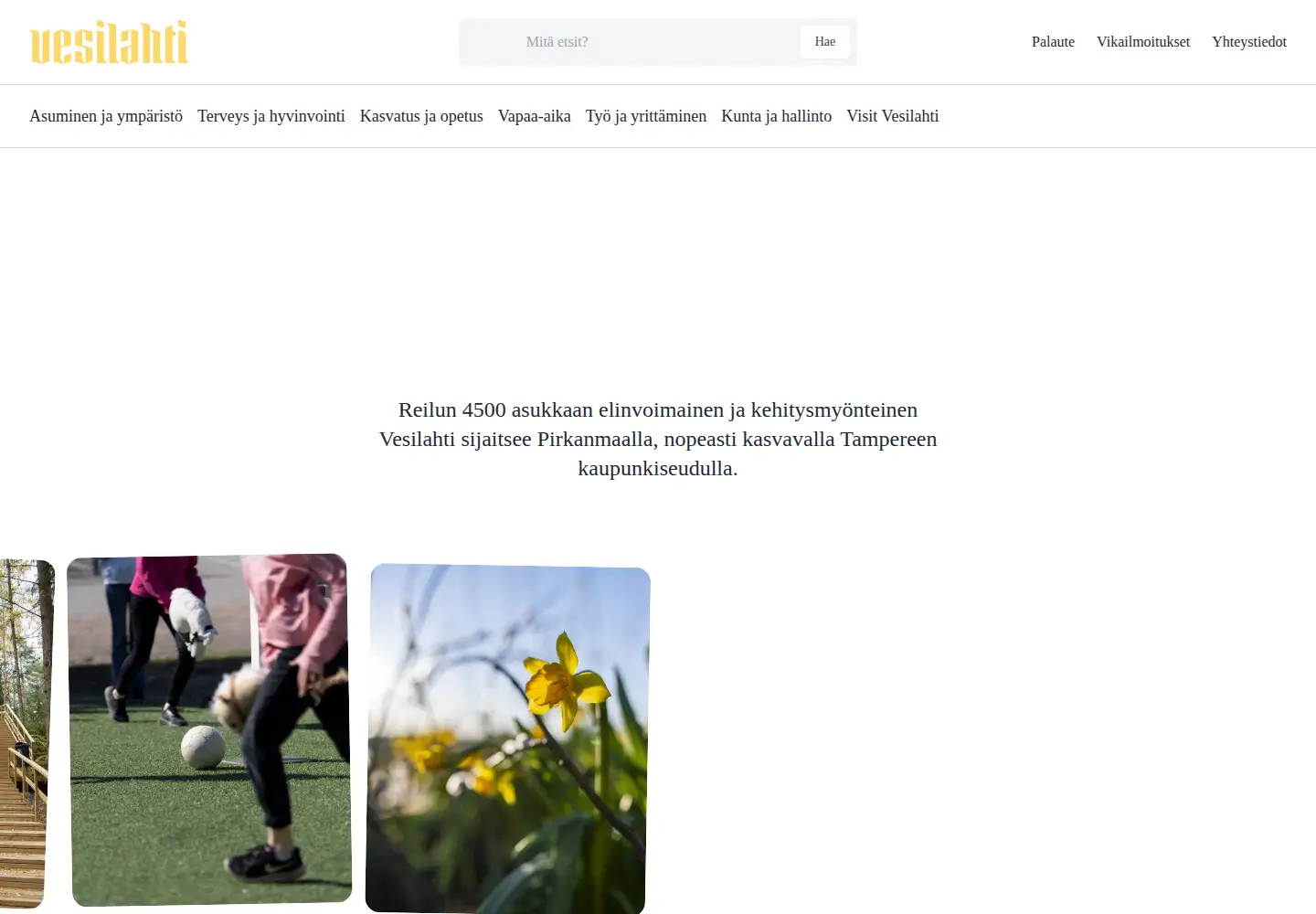 Screenshot of vesilahti.fi