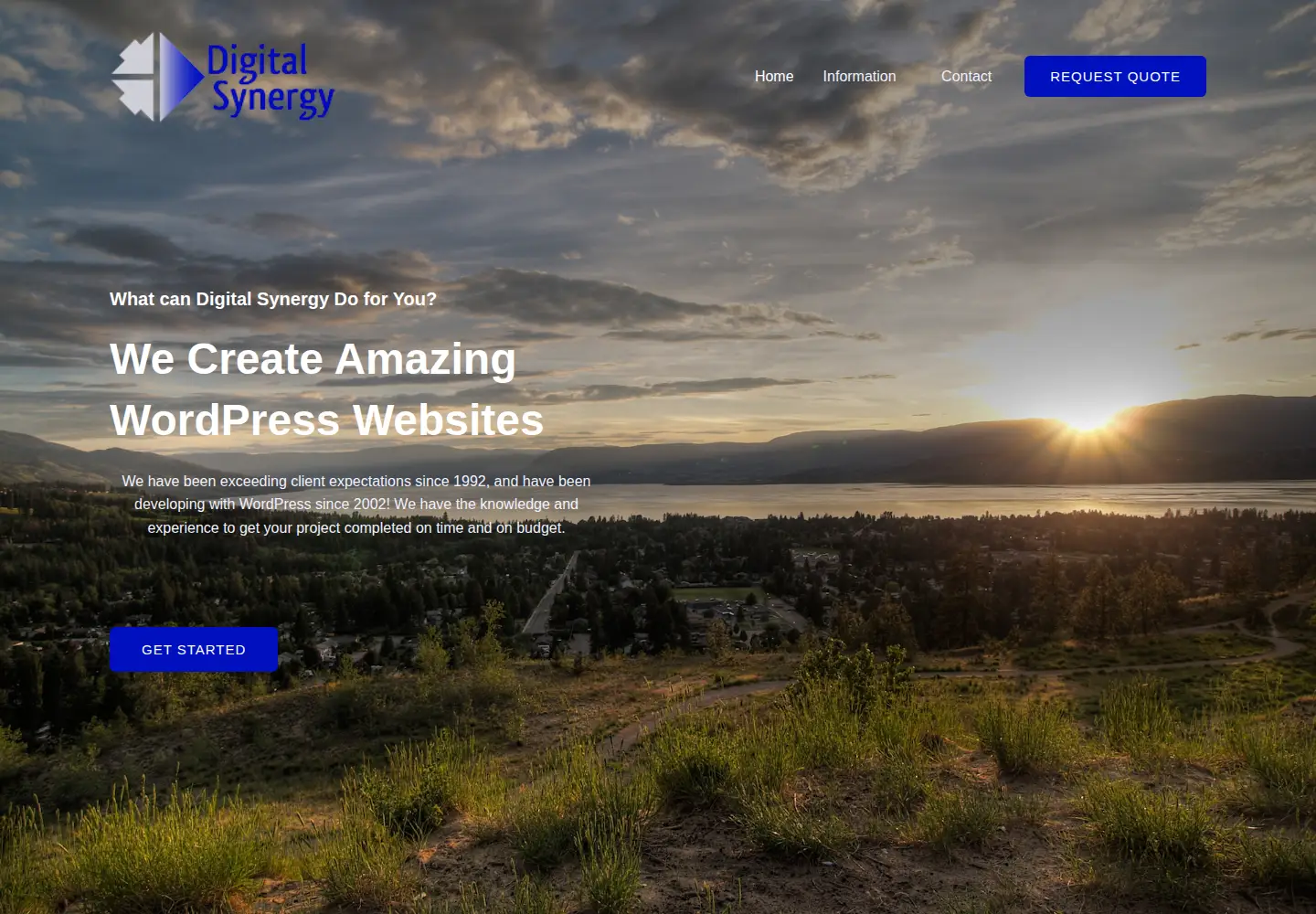 Screenshot of digitalsynergy.ca