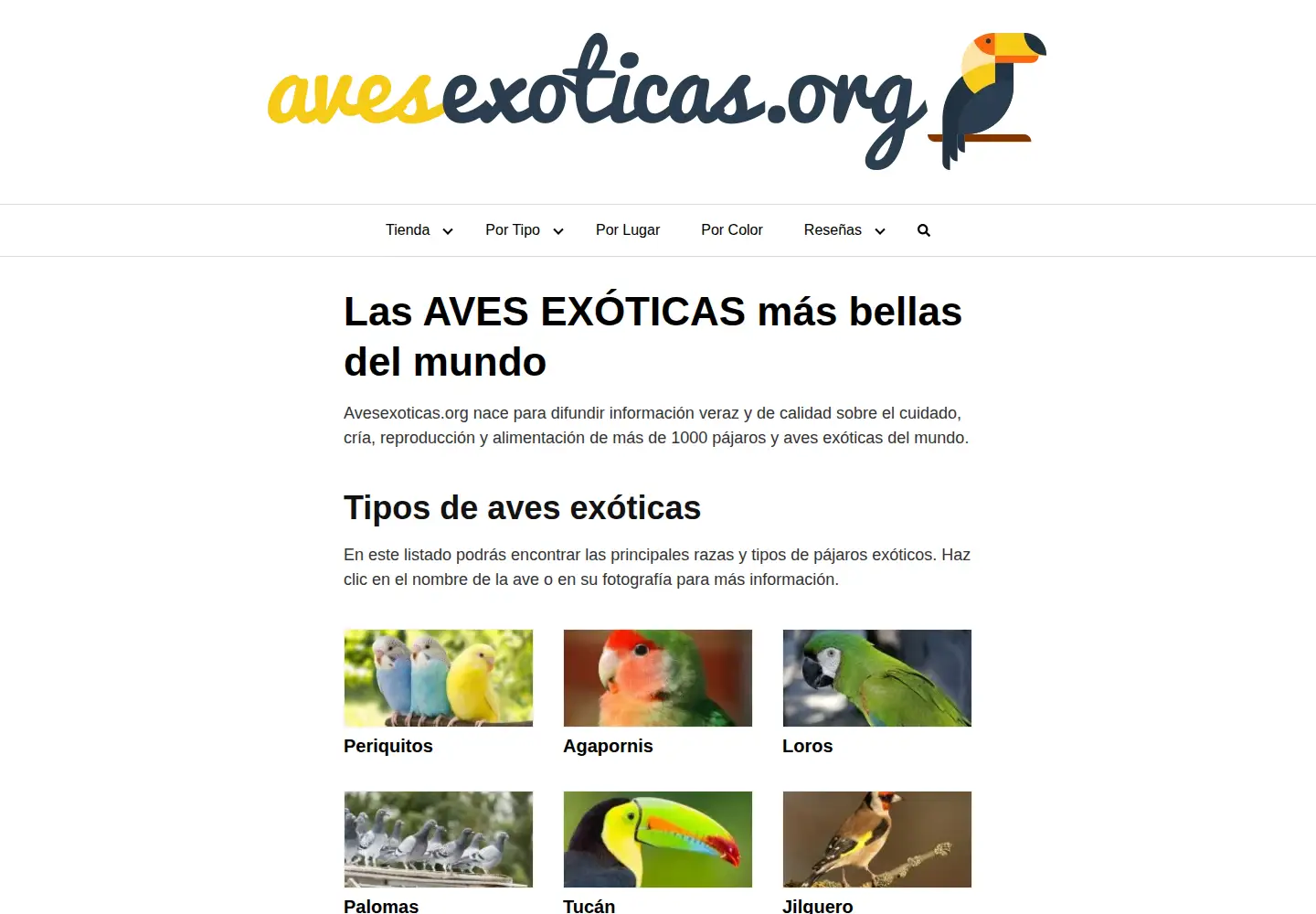Screenshot of avesexoticas.org